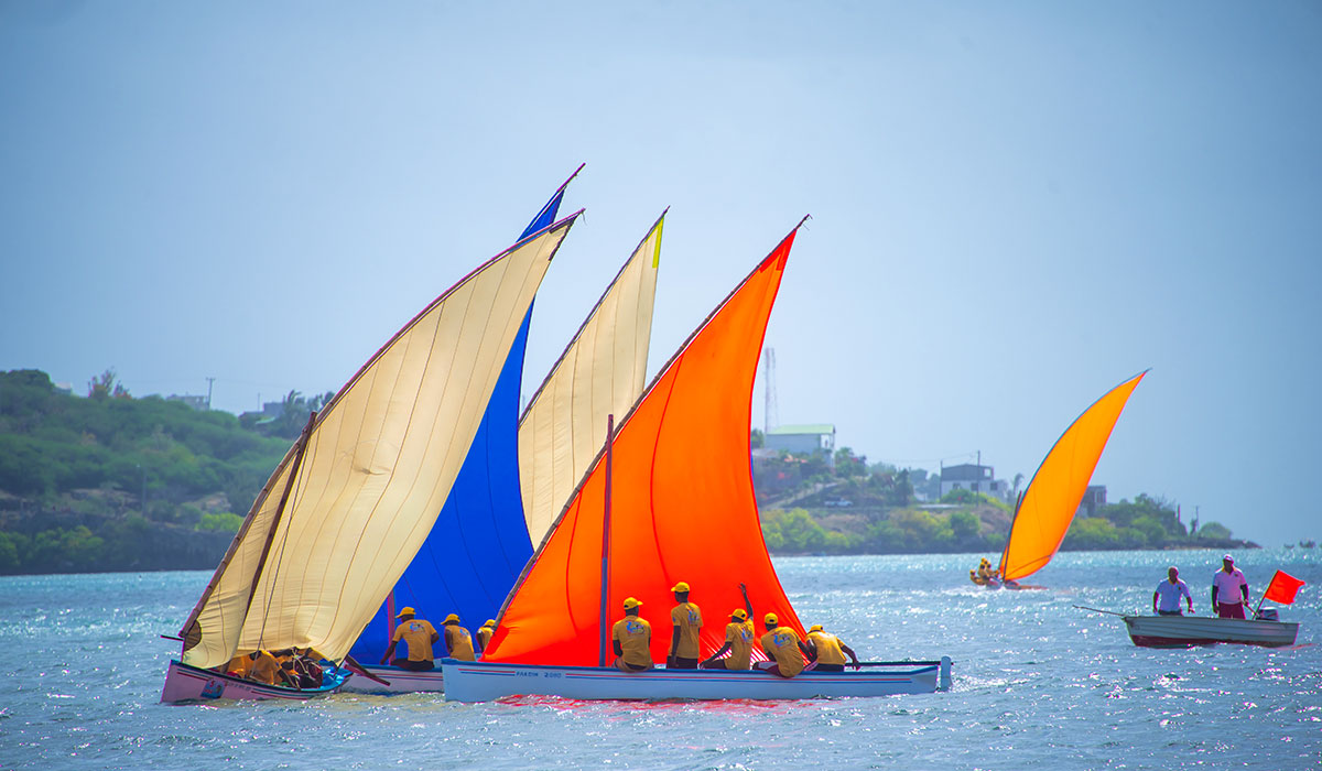 Festival Kreol de Rodrigues : Tradition et transmission !